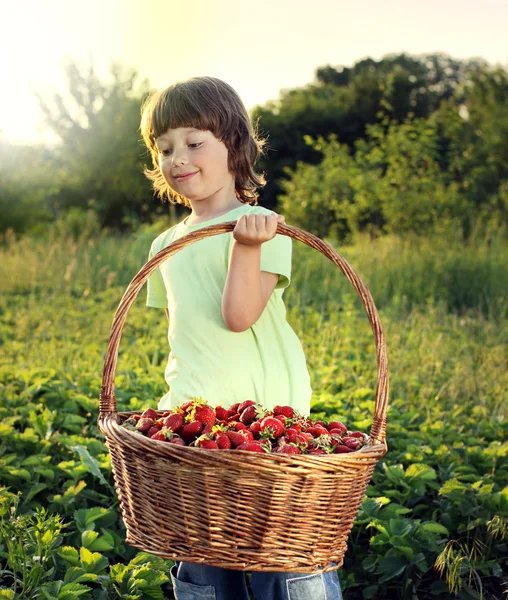 Jongen met mandje van aardbei — Stockfoto