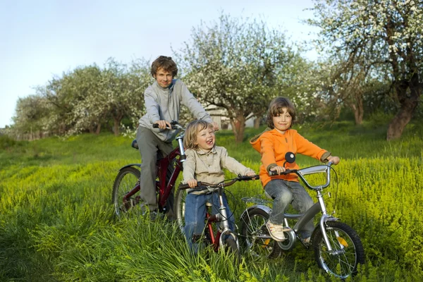 Three brothers ride bikes — Stock Photo, Image