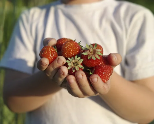 Handful of cubes in the hands of the boy — Stock Photo, Image