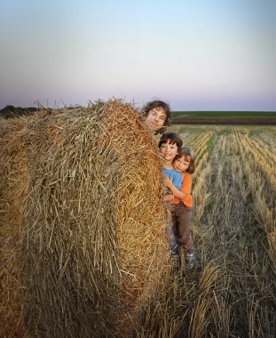 3 erkek alanında samanlıkta