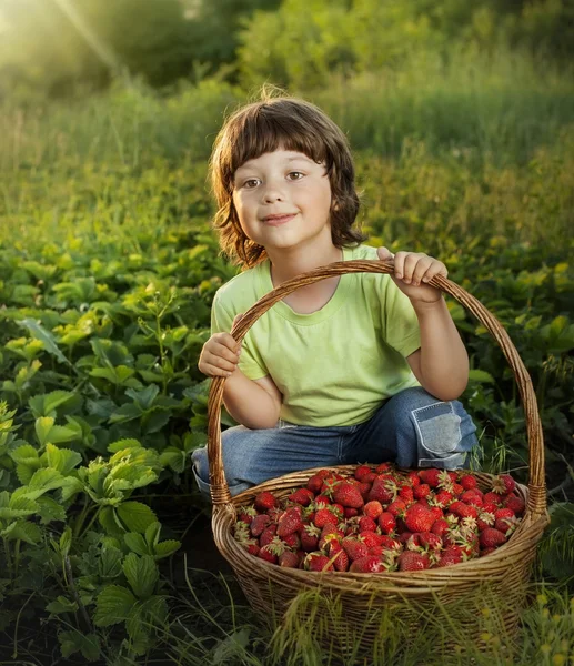 Vrolijke jongen met mandje met bessen — Stockfoto