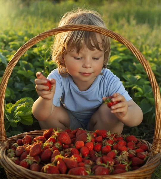 Niño alegre con canasta de bayas — Foto de Stock