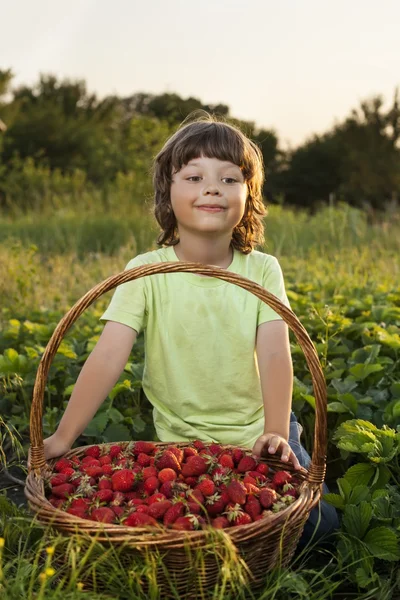 Fröhlicher Junge mit einem Korb voller Beeren — Stockfoto