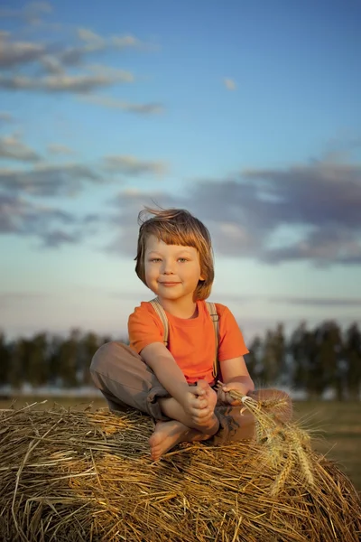 Jongen in een hooiberg in het veld — Stockfoto