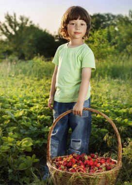 neşeli çocuk ile meyve sepeti