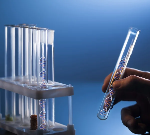 DNA molecule in glass tube in hand of scientist — Stock Photo, Image