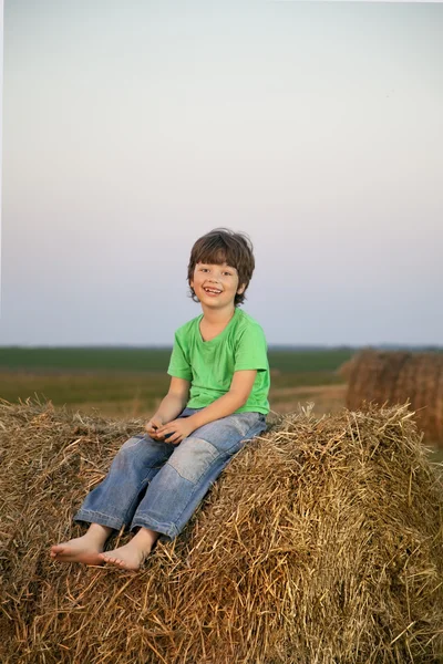 Junge im Heuhaufen auf dem Feld — Stockfoto