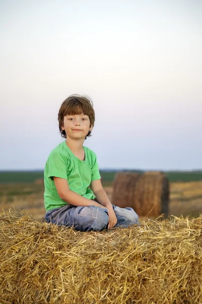 Мальчик в стоге сена в поле — стоковое фото