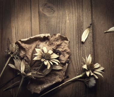 Ahşap arka planda kurumuş çiçekler Sonbahar Durgun Hayatı