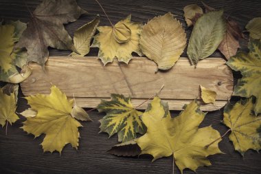 ahşap arka plan (üstten görünüm üzerinde sonbahar yaprak)