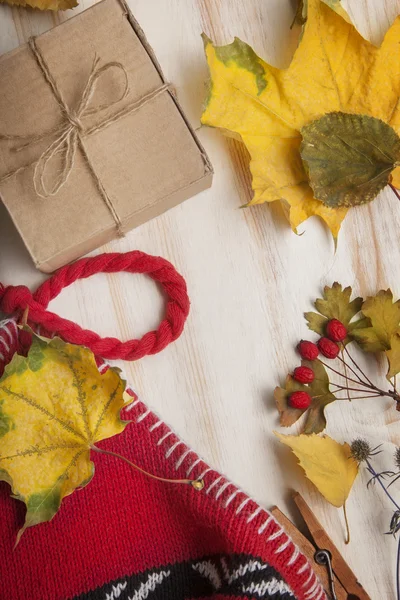 Herbst Stillleben gestrickte Mütze Geschenk Blätter und getrocknete Beeren — Stockfoto