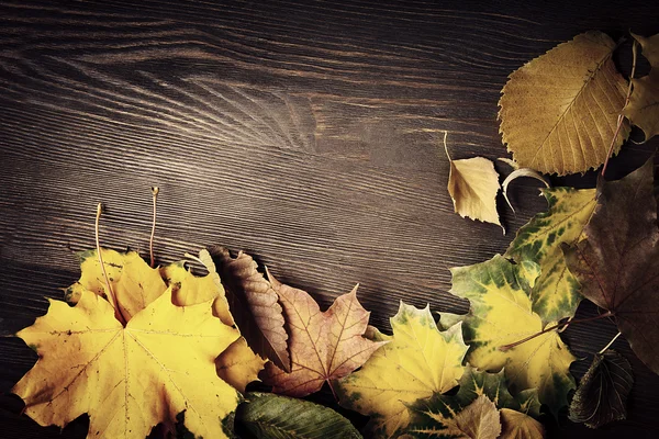 Hoja de otoño sobre fondo de madera (vista superior ) —  Fotos de Stock