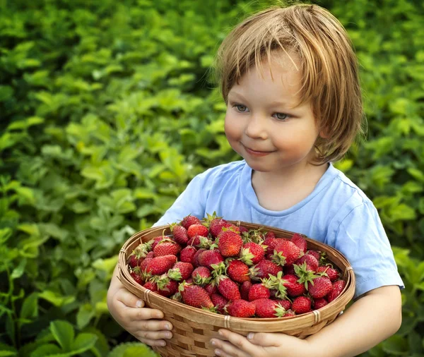 Веселый мальчик с корзиной ягод — стоковое фото