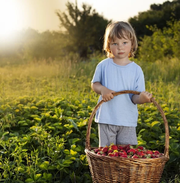 Cheerful boy with basket of berries — Stock Photo, Image