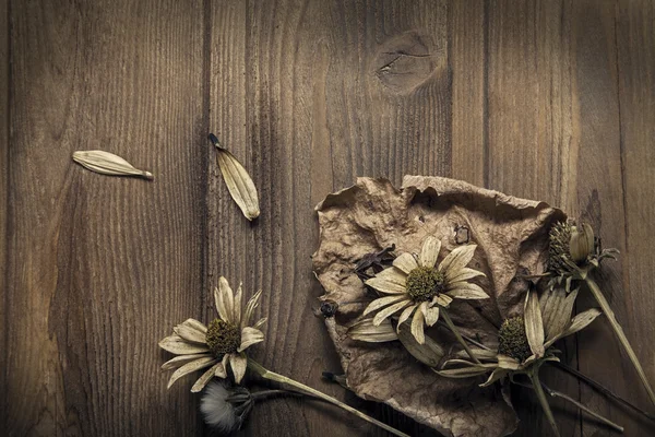Αποξηραμένα λουλούδια σε ξύλινο φόντο Φθινόπωρο Νεκρή Ζωή — Φωτογραφία Αρχείου