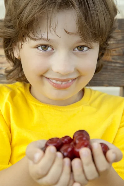 Las cerezas llenas de palma madura en las manos del muchacho —  Fotos de Stock