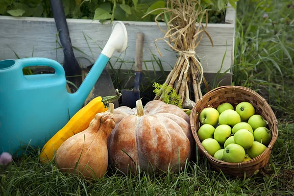 Riche récolte dans le jardin des hauts lits et des outils de jardin (Pu — Photo