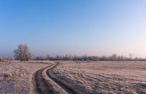 Pejzaż zimowy z pierwszych przymrozków, szron na drzewach, poranne słońce — Zdjęcie stockowe