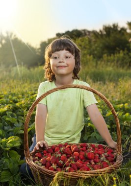 neşeli çocuk ile meyve sepeti