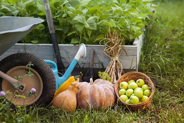 Riche récolte dans le jardin des hauts lits et des outils de jardin (Pu — Photo