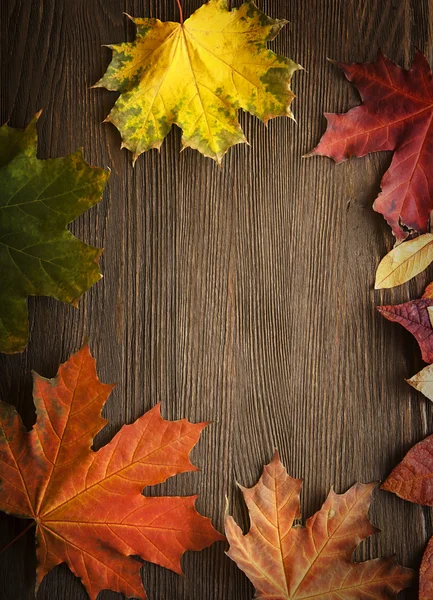 Hojas de otoño sobre fondo de madera — Foto de Stock