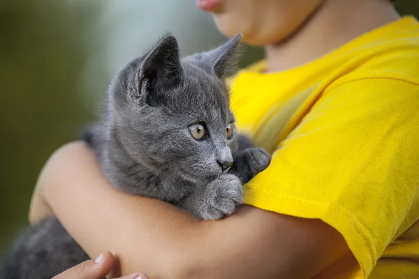 Kotek na ramieniu chłopca — Zdjęcie stockowe