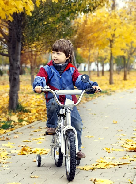 Jongen die een fiets in park — Stockfoto