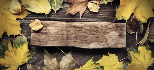 Autumn leaf on wood background (top view) — Stock Photo, Image