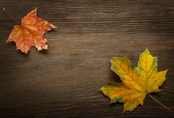 Hoja de otoño sobre fondo de madera (vista superior ) — Foto de Stock