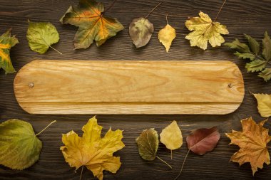 sonbahar yaprak çerçeve için kelime ve INsc ağacıyla üzerinde gizli