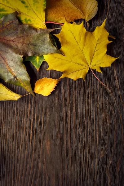 Hoja de otoño sobre fondo de madera (vista superior ) —  Fotos de Stock