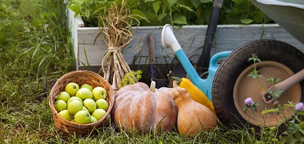 Rich Harvest in the Garden of the high beds and Garden Tools (Pu