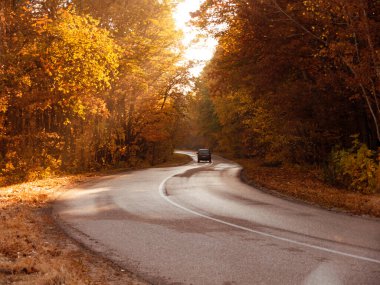 Renkli sonbahar ormanlarının içinde siyah arabalı dolambaçlı bir yol.