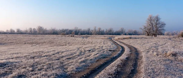 Ayazın Kış Yolu Manzarası Ağaçların Üzerindeki Don Sabah Güneşi — Stok fotoğraf