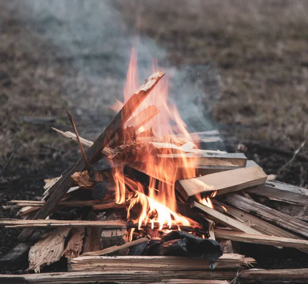 Lagerfeuer Feuer Frühling Wald — Stockfoto