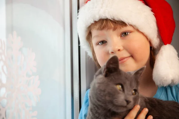 Happy Boy Santa Hat Stroking Fluffy Cat Window — Stock Photo, Image