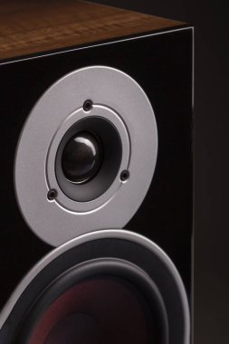 Siyah arkaplanda akustik hoparlörler. Multimedya, ses ve ses konsepti. Boşluğu kopyala.