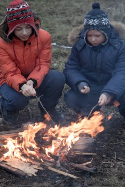 İki kardeş şenlik ateşinde sosisli kızartıyorlar. Çocuklar sonbahar kamp ateşinde eğleniyor. Sonbahar ormanlarında kamp yapan çocuklar..