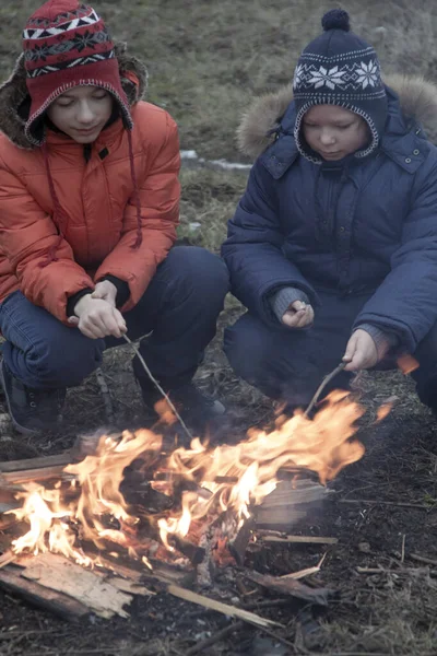 Двоє Братів Смажать Хот Доги Палицях Під Багаттям Діти Розважаються — стокове фото