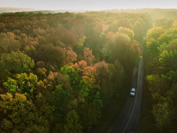 Podzimní Cesta Lesním Drone Letecké Záběry Horní Pohled Listoví Stromů — Stock fotografie