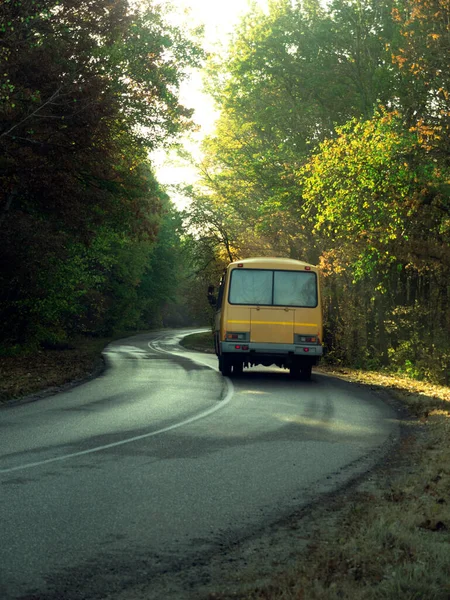 Cesta Školním Autobusem Krásném Letním Lese — Stock fotografie