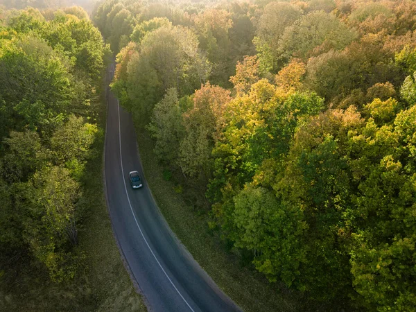 Letecký Pohled Dálniční Silnici Lese Pohled Dronu Auto Letním Čase — Stock fotografie