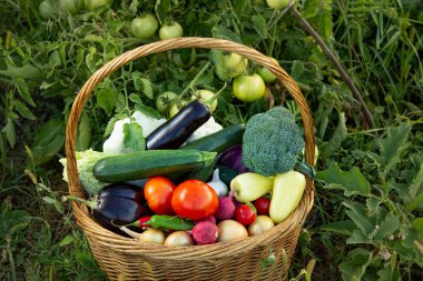 Arka planda sepetin içinde farklı organik meyve ve sebzeler.