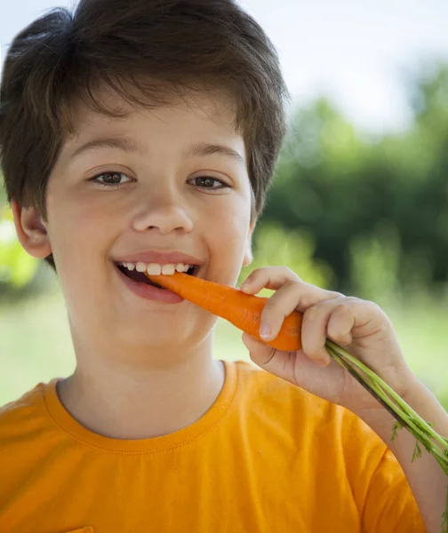 Gelukkige Jongen Die Wortel Bijt Een Kind Met Een Groente — Stockfoto