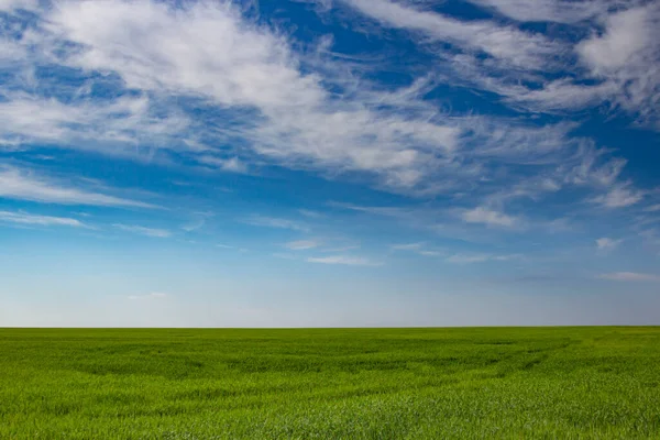 Vue Paysage Avec Ciel Bleu Herbe Verte Sur Fond Pente — Photo