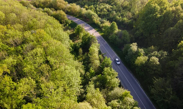 Auto Silnici Lese Letním Čase Příroda Vzduchu Pohled Dronu Letecký — Stock fotografie