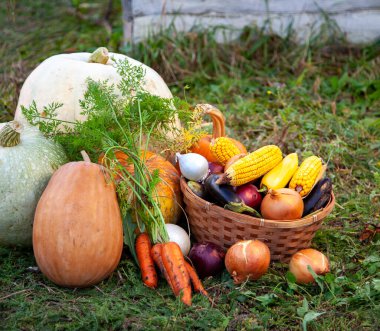 Organik meyve ve sebzeler arka planda sepette..