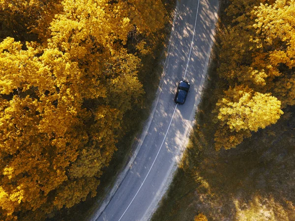 Vinutí Rual Road Uvnitř Podzimního Lesa Černým Autem — Stock fotografie