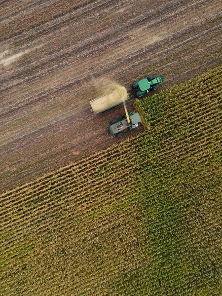 Mähdrescher Ernten Goldene Reife Maisfelder Hintergrund Landwirtschaft Von Oben Luftaufnahme — Stockfoto