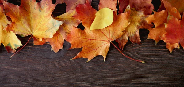Podzimní List Dřevěném Modrém Pozadí Pohled Shora Oranžový List Staré — Stock fotografie